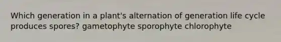 Which generation in a plant's alternation of generation life cycle produces spores? gametophyte sporophyte chlorophyte