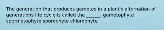 The generation that produces gametes in a plant's alternation of generations life cycle is called the ______. gametophyte spermatophyte sporophyte chlorophyte