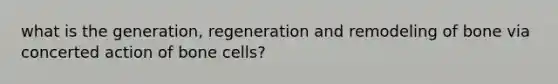 what is the generation, regeneration and remodeling of bone via concerted action of bone cells?