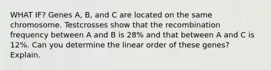 WHAT IF? Genes A, B, and C are located on the same chromosome. Testcrosses show that the recombination frequency between A and B is 28% and that between A and C is 12%. Can you determine the linear order of these genes? Explain.