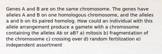 Genes A and B are on the same chromosome. The genes have alleles A and B on one homologous chromosome, and the alleles a and b on its paired homolog. How could an individual with this allele arrangement produce a gamete with a chromosome containing the alleles Ab or aB? a) mitosis b) fragmentation of the chromosome c) crossing over d) random fertilization e) independent assortment