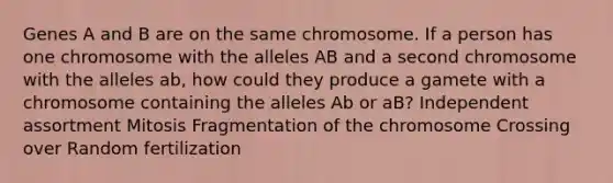 Genes A and B are on the same chromosome. If a person has one chromosome with the alleles AB and a second chromosome with the alleles ab, how could they produce a gamete with a chromosome containing the alleles Ab or aB? Independent assortment Mitosis Fragmentation of the chromosome Crossing over Random fertilization