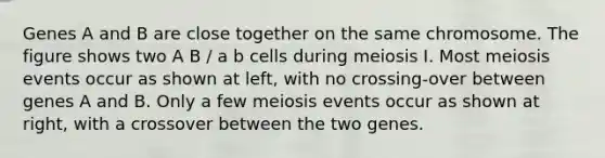 Genes A and B are close together on the same chromosome. The figure shows two A B / a b cells during meiosis I. Most meiosis events occur as shown at left, with no crossing-over between genes A and B. Only a few meiosis events occur as shown at right, with a crossover between the two genes.