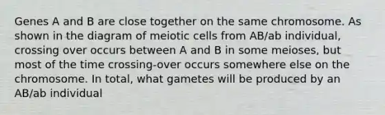 Genes A and B are close together on the same chromosome. As shown in the diagram of meiotic cells from AB/ab individual, crossing over occurs between A and B in some meioses, but most of the time crossing-over occurs somewhere else on the chromosome. In total, what gametes will be produced by an AB/ab individual