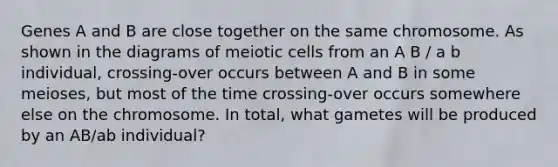 Genes A and B are close together on the same chromosome. As shown in the diagrams of meiotic cells from an A B / a b individual, crossing-over occurs between A and B in some meioses, but most of the time crossing-over occurs somewhere else on the chromosome. In total, what gametes will be produced by an AB/ab individual?