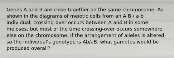 Genes A and B are close together on the same chromosome. As shown in the diagrams of meiotic cells from an A B / a b individual, crossing-over occurs between A and B in some meioses, but most of the time crossing-over occurs somewhere else on the chromosome. If the arrangement of alleles is altered, so the individual's genotype is Ab/aB, what gametes would be produced overall?