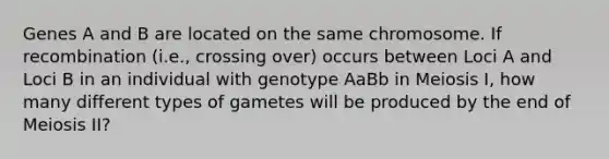 Genes A and B are located on the same chromosome. If recombination (i.e., crossing over) occurs between Loci A and Loci B in an individual with genotype AaBb in Meiosis I, how many different types of gametes will be produced by the end of Meiosis II?