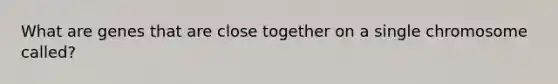 What are genes that are close together on a single chromosome called?