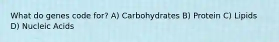 What do genes code for? A) Carbohydrates B) Protein C) Lipids D) Nucleic Acids