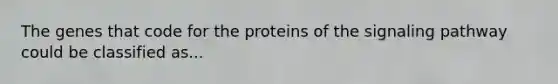 The genes that code for the proteins of the signaling pathway could be classified as...