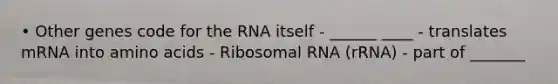 • Other genes code for the RNA itself - ______ ____ - translates mRNA into amino acids - Ribosomal RNA (rRNA) - part of _______