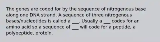 The genes are coded for by the sequence of nitrogenous base along one DNA strand. A sequence of three nitrogenous bases/nucleotides is called a ___. Usually a ___ codes for an amino acid so a sequence of ___ will code for a peptide, a polypeptide, protein.