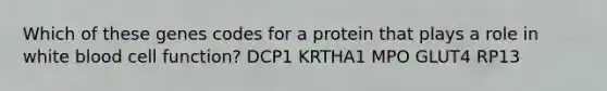 Which of these genes codes for a protein that plays a role in white blood cell function? DCP1 KRTHA1 MPO GLUT4 RP13