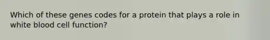 Which of these genes codes for a protein that plays a role in white blood cell function?