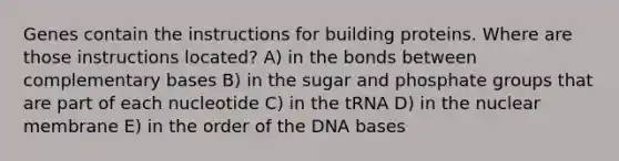 Genes contain the instructions for building proteins. Where are those instructions located? A) in the bonds between complementary bases B) in the sugar and phosphate groups that are part of each nucleotide C) in the tRNA D) in the nuclear membrane E) in the order of the DNA bases