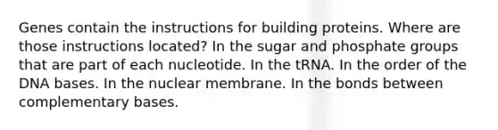 Genes contain the instructions for building proteins. Where are those instructions located? In the sugar and phosphate groups that are part of each nucleotide. In the tRNA. In the order of the DNA bases. In the nuclear membrane. In the bonds between complementary bases.