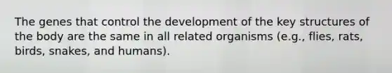 The genes that control the development of the key structures of the body are the same in all related organisms (e.g., flies, rats, birds, snakes, and humans).