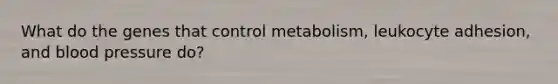 What do the genes that control metabolism, leukocyte adhesion, and blood pressure do?