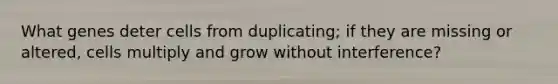 What genes deter cells from duplicating; if they are missing or altered, cells multiply and grow without interference?