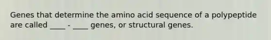 Genes that determine the amino acid sequence of a polypeptide are called ____ - ____ genes, or structural genes.