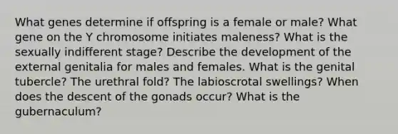 What genes determine if offspring is a female or male? What gene on the Y chromosome initiates maleness? What is the sexually indifferent stage? Describe the development of the external genitalia for males and females. What is the genital tubercle? The urethral fold? The labioscrotal swellings? When does the descent of the gonads occur? What is the gubernaculum?