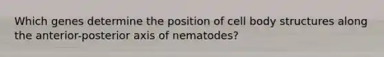 Which genes determine the position of cell body structures along the anterior-posterior axis of nematodes?