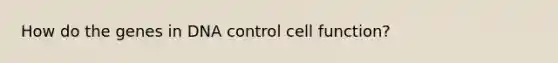 How do the genes in DNA control cell function?