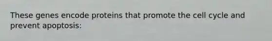 These genes encode proteins that promote the cell cycle and prevent apoptosis: