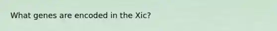 What genes are encoded in the Xic?