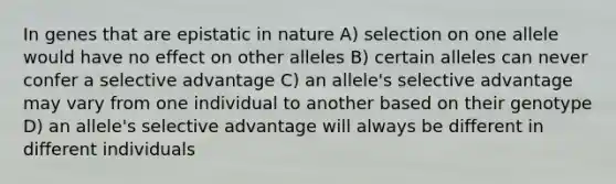 In genes that are epistatic in nature A) selection on one allele would have no effect on other alleles B) certain alleles can never confer a selective advantage C) an allele's selective advantage may vary from one individual to another based on their genotype D) an allele's selective advantage will always be different in different individuals