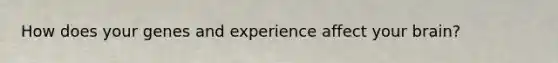 How does your genes and experience affect your brain?