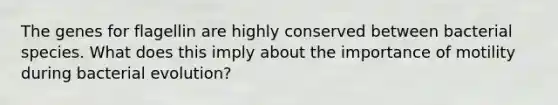 The genes for flagellin are highly conserved between bacterial species. What does this imply about the importance of motility during bacterial evolution?
