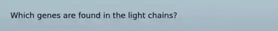 Which genes are found in the light chains?