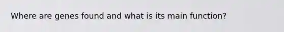Where are genes found and what is its main function?