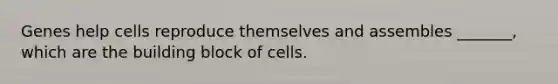 Genes help cells reproduce themselves and assembles _______, which are the building block of cells.