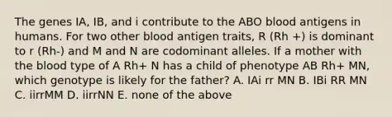 The genes IA, IB, and i contribute to the ABO blood antigens in humans. For two other blood antigen traits, R (Rh +) is dominant to r (Rh-) and M and N are codominant alleles. If a mother with the blood type of A Rh+ N has a child of phenotype AB Rh+ MN, which genotype is likely for the father? A. IAi rr MN B. IBi RR MN C. iirrMM D. iirrNN E. none of the above