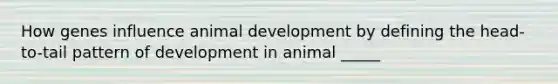 How genes influence animal development by defining the head-to-tail pattern of development in animal _____