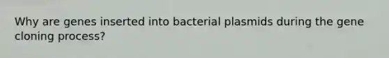 Why are genes inserted into bacterial plasmids during the gene cloning process?