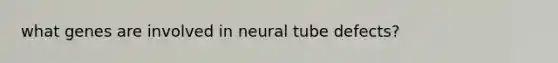 what genes are involved in neural tube defects?