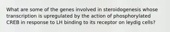 What are some of the genes involved in steroidogenesis whose transcription is upregulated by the action of phosphorylated CREB in response to LH binding to its receptor on leydig cells?