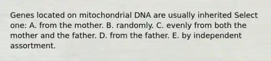 Genes located on mitochondrial DNA are usually inherited Select one: A. from the mother. B. randomly. C. evenly from both the mother and the father. D. from the father. E. by independent assortment.