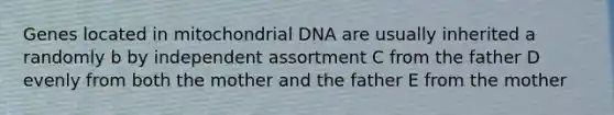 Genes located in mitochondrial DNA are usually inherited a randomly b by independent assortment C from the father D evenly from both the mother and the father E from the mother