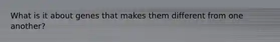 What is it about genes that makes them different from one another?