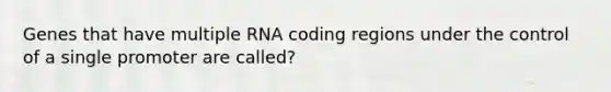 Genes that have multiple RNA coding regions under the control of a single promoter are called?