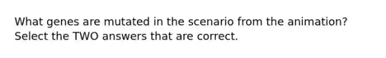 What genes are mutated in the scenario from the animation? Select the TWO answers that are correct.