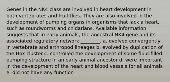 Genes in the NK4 class are involved in heart development in both vertebrates and fruit flies. They are also involved in the development of pumping organs in organisms that lack a heart, such as roundworms and cnidarians. Available information suggests that in early animals, the ancestral NK4 gene and its associated regulatory network ________. a. evolved convergently in vertebrate and arthropod lineages b. evolved by duplication of the Hox cluster c. controlled the development of some fluid-filled pumping structure in an early animal ancestor d. were important in the development of the heart and blood vessels for all animals e. did not have any function