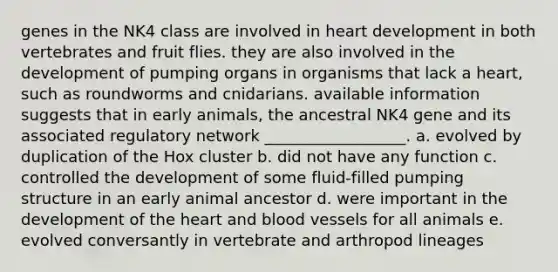 genes in the NK4 class are involved in heart development in both vertebrates and fruit flies. they are also involved in the development of pumping organs in organisms that lack a heart, such as roundworms and cnidarians. available information suggests that in early animals, the ancestral NK4 gene and its associated regulatory network __________________. a. evolved by duplication of the Hox cluster b. did not have any function c. controlled the development of some fluid-filled pumping structure in an early animal ancestor d. were important in the development of the heart and blood vessels for all animals e. evolved conversantly in vertebrate and arthropod lineages