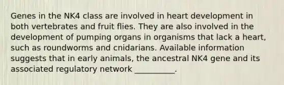 Genes in the NK4 class are involved in heart development in both vertebrates and fruit flies. They are also involved in the development of pumping organs in organisms that lack a heart, such as roundworms and cnidarians. Available information suggests that in early animals, the ancestral NK4 gene and its associated regulatory network __________.