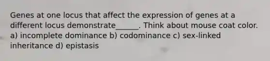 Genes at one locus that affect the expression of genes at a different locus demonstrate______. Think about mouse coat color. a) incomplete dominance b) codominance c) sex-linked inheritance d) epistasis