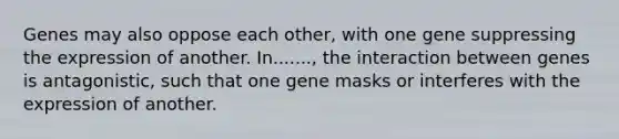 Genes may also oppose each other, with one gene suppressing the expression of another. In......., the interaction between genes is antagonistic, such that one gene masks or interferes with the expression of another.